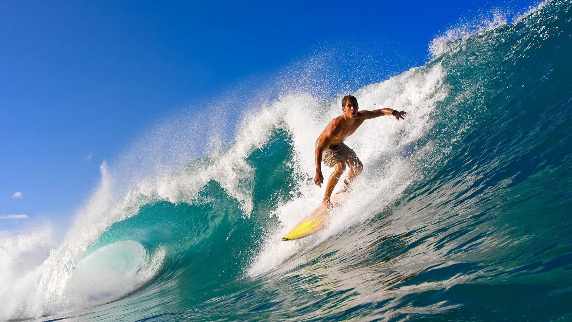 2026年世界综合格斗冠军赛 中量级统一战技惊裁判与观众